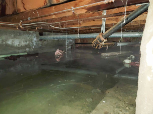 Best Fire Damage Restoration  in Alamo Heights, TX