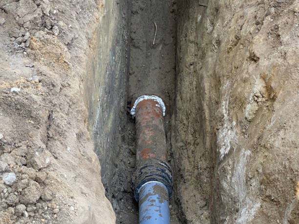 Best Water damage cleanup near me  in Alamo Heights, TX