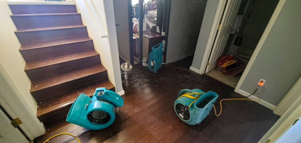  Alamo Heights, TX Water damage restoration Pros