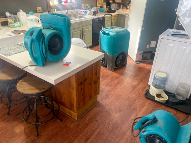Best Water damage restoration near me  in Alamo Heights, TX