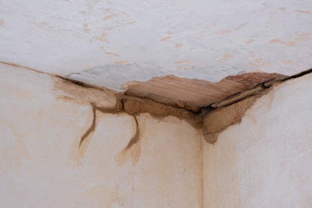 Best Commercial water damage restoration  in Alamo Heights, TX