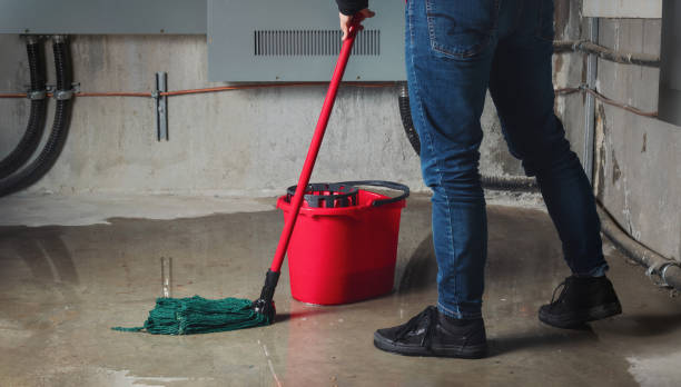 Best 24-hour water damage restoration  in Alamo Heights, TX