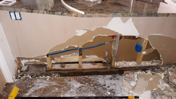 Best Basement water damage restoration  in Alamo Heights, TX