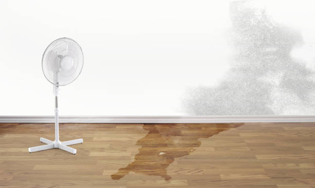 Best Sewage cleanup and water damage restoration  in Alamo Heights, TX