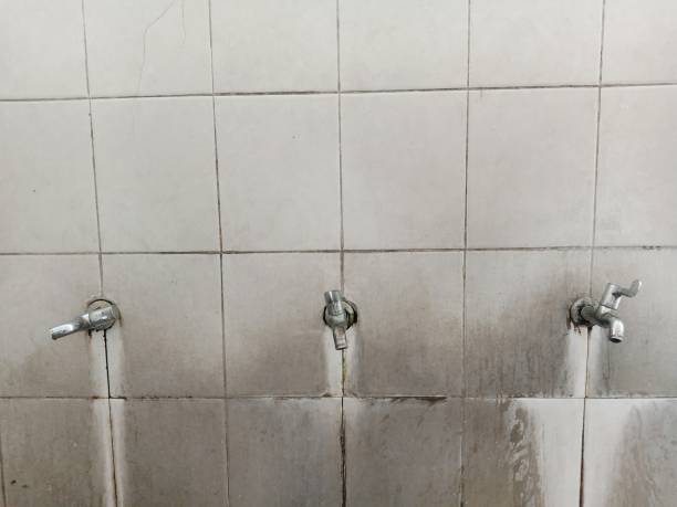 Best Flood restoration services  in Alamo Heights, TX