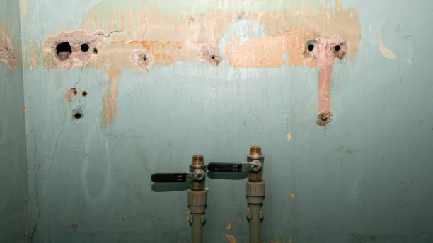 Best Flood damage cleanup  in Alamo Heights, TX