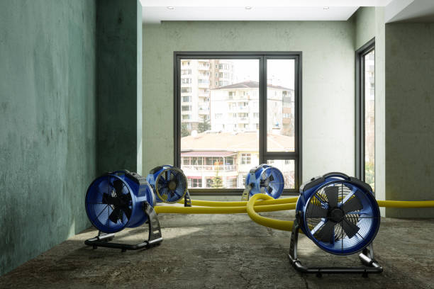 Best Ceiling water damage repair  in Alamo Heights, TX